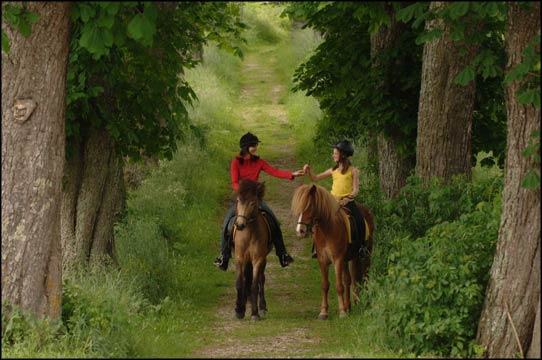 Reiten, Reitferien am Mentehof, Kärnten